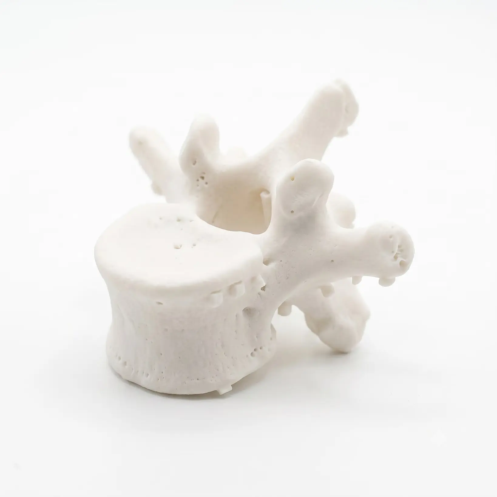 Prototip